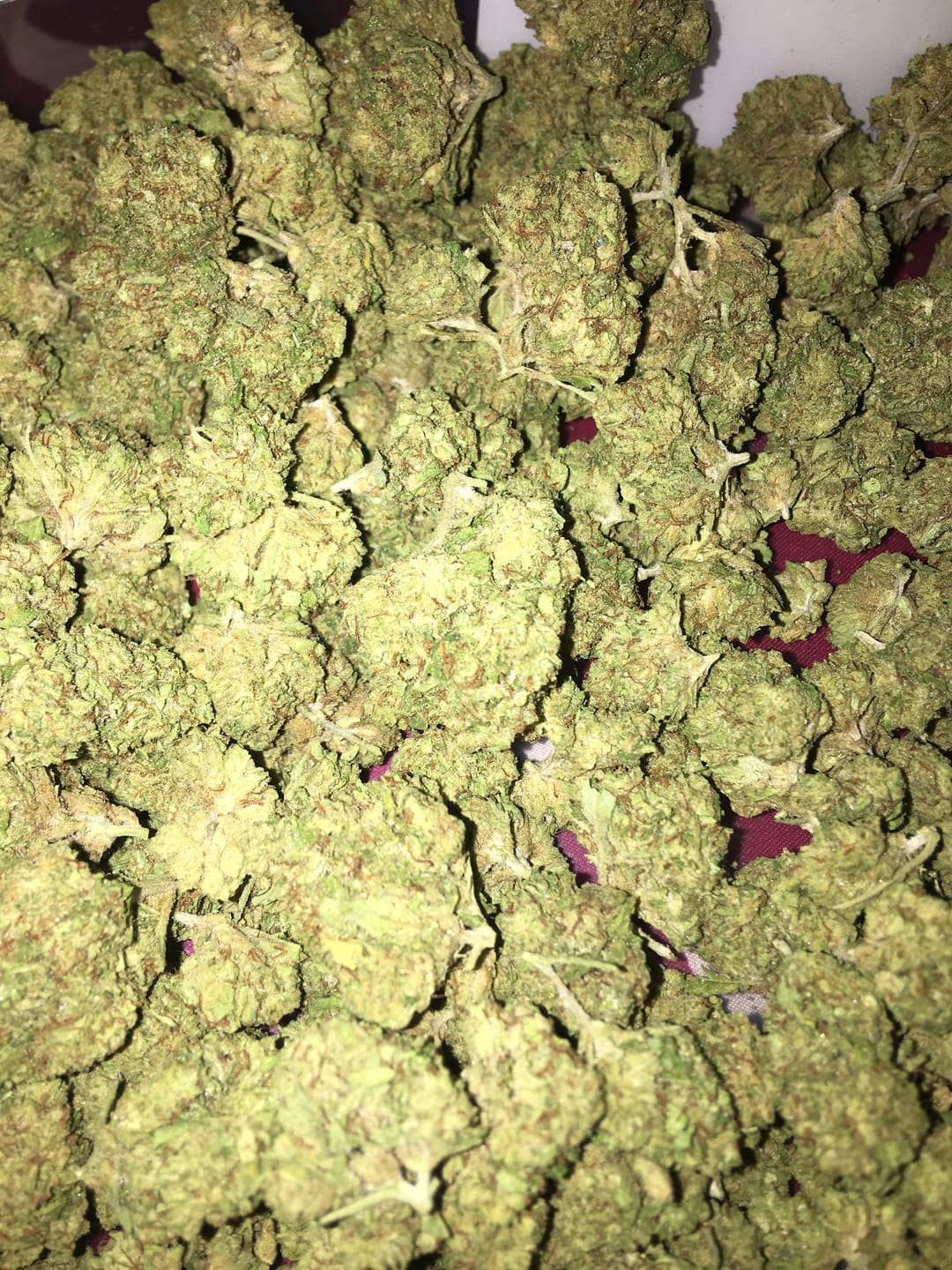 Customer photo review of Cheap THCA Smalls Quarter Pound