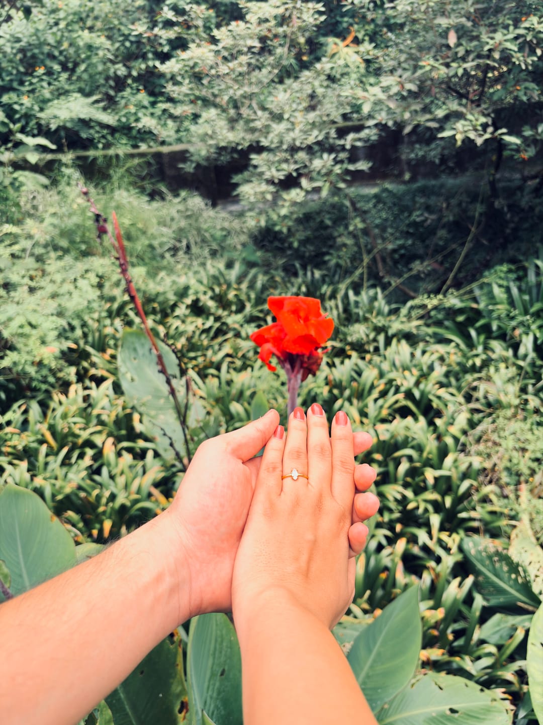 Customer photo review of Marquise Whisper Solitaire Ring