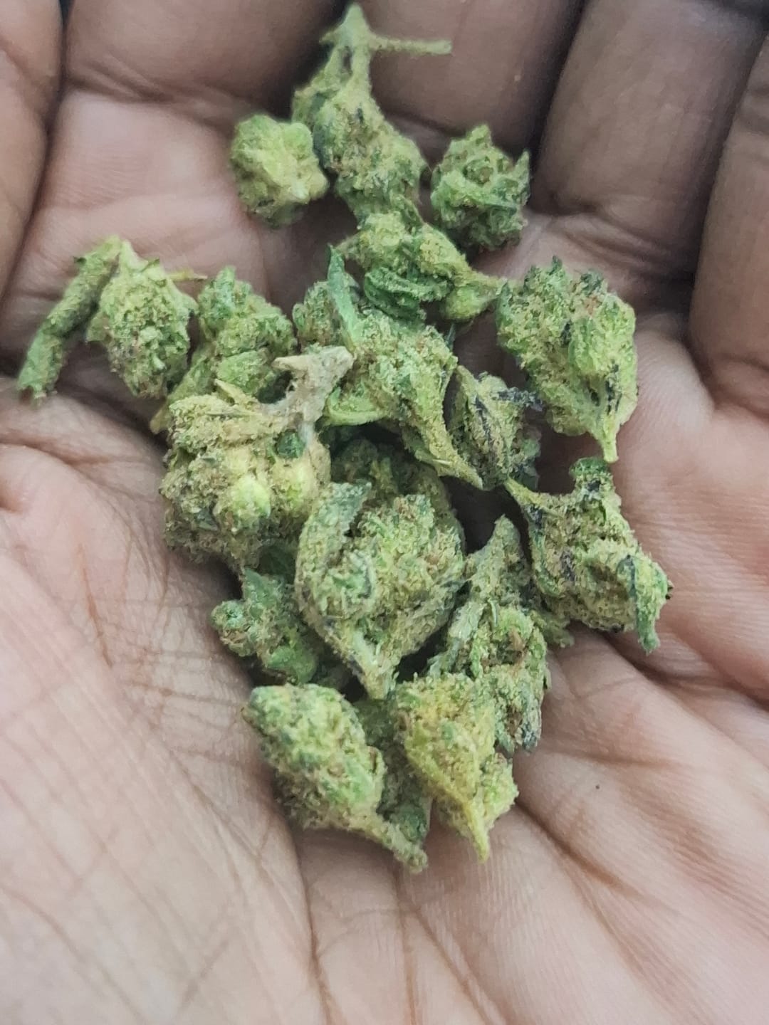 Customer photo review of Cheap THCA Smalls Ounce