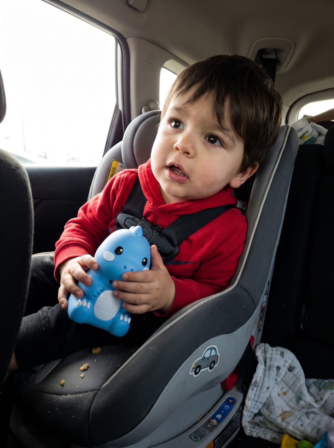 Customer photo review of Talking Dino - Educative Toy