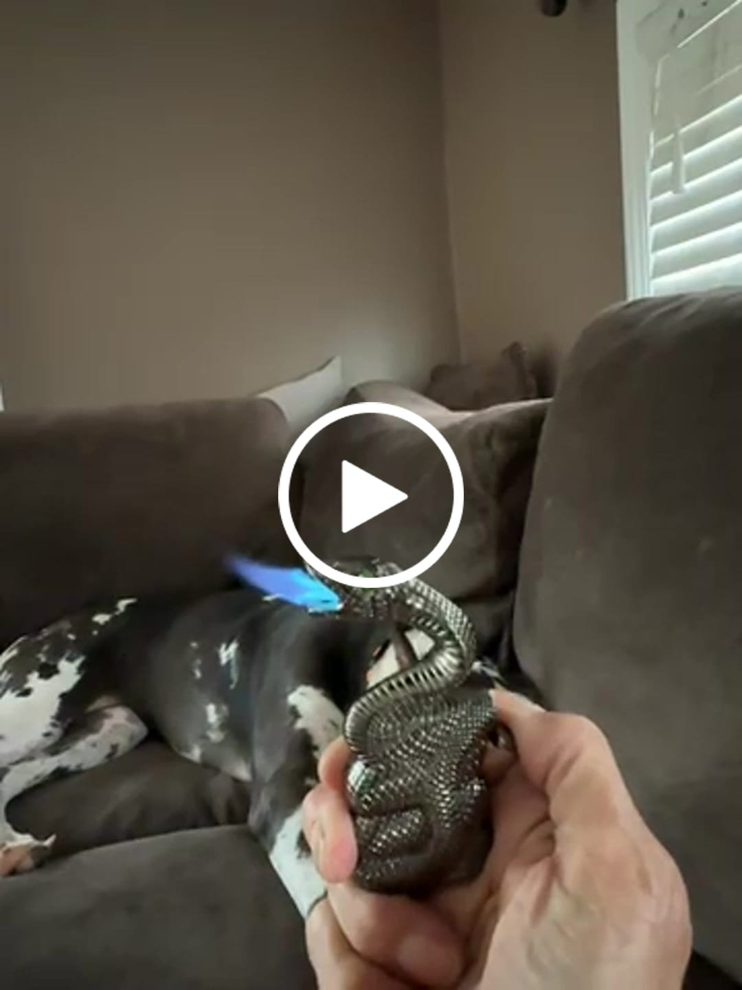 Customer video review of SNAKE LIGHTER