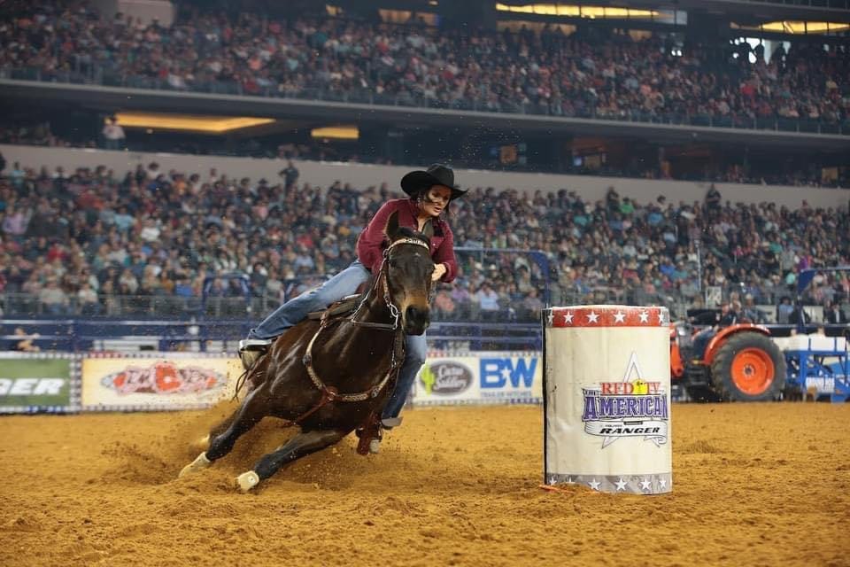 Customer photo review of OptiWize Collagen +Plus Horse Joint Supplement