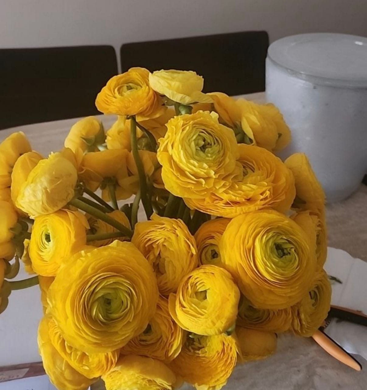 Customer photo review of Yellow Ranunculus