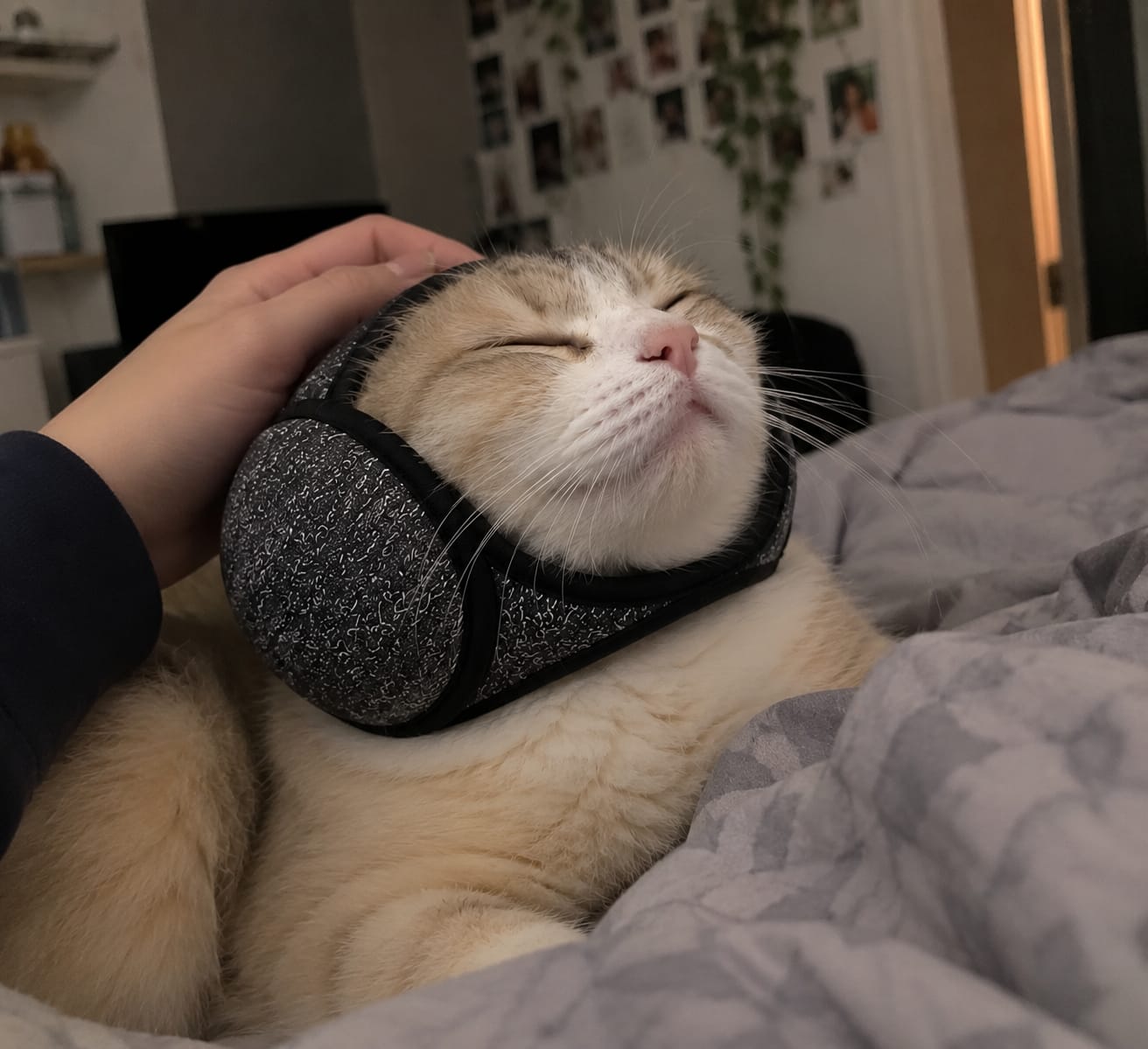 Customer photo review of Adjustable Cat Ear Muffs