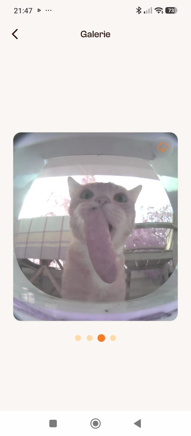 Customer photo review of Flappie®