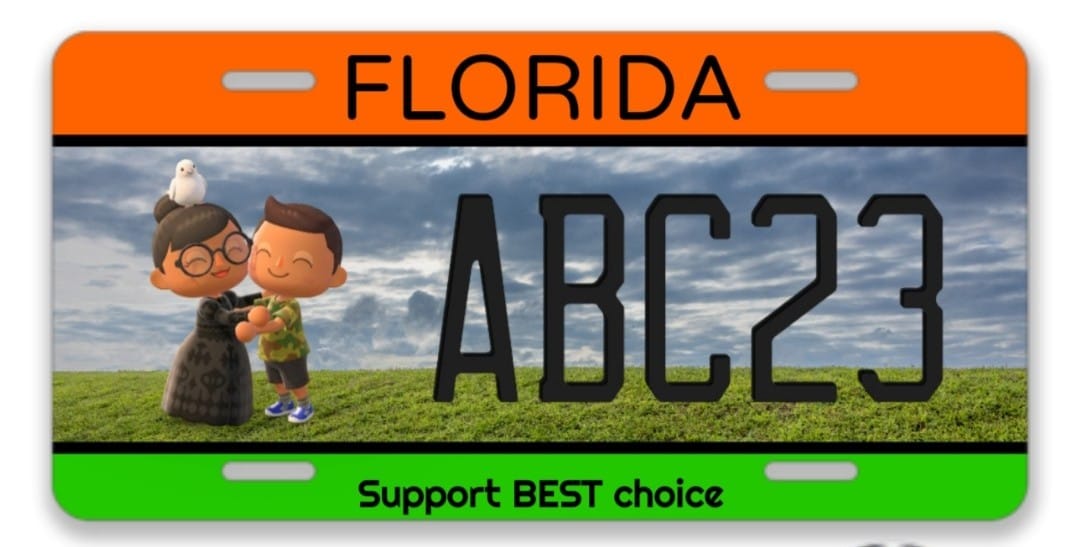 Customer photo review of 2019-2024 FLORIDA LICENSE PLATE - COUNTY NAME 12x6