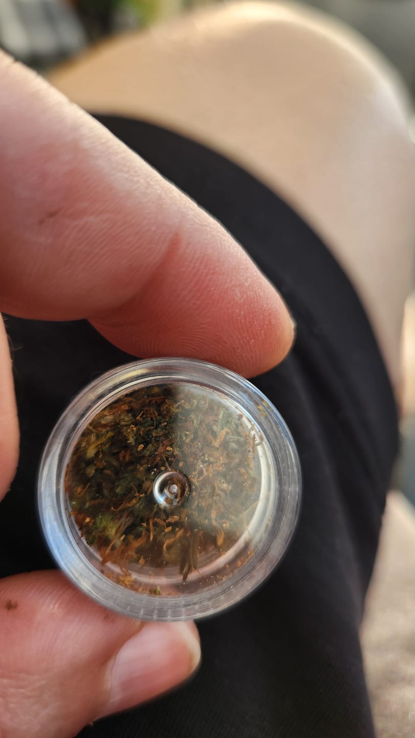 Customer photo review of Himalaya Hash - 40% Superior