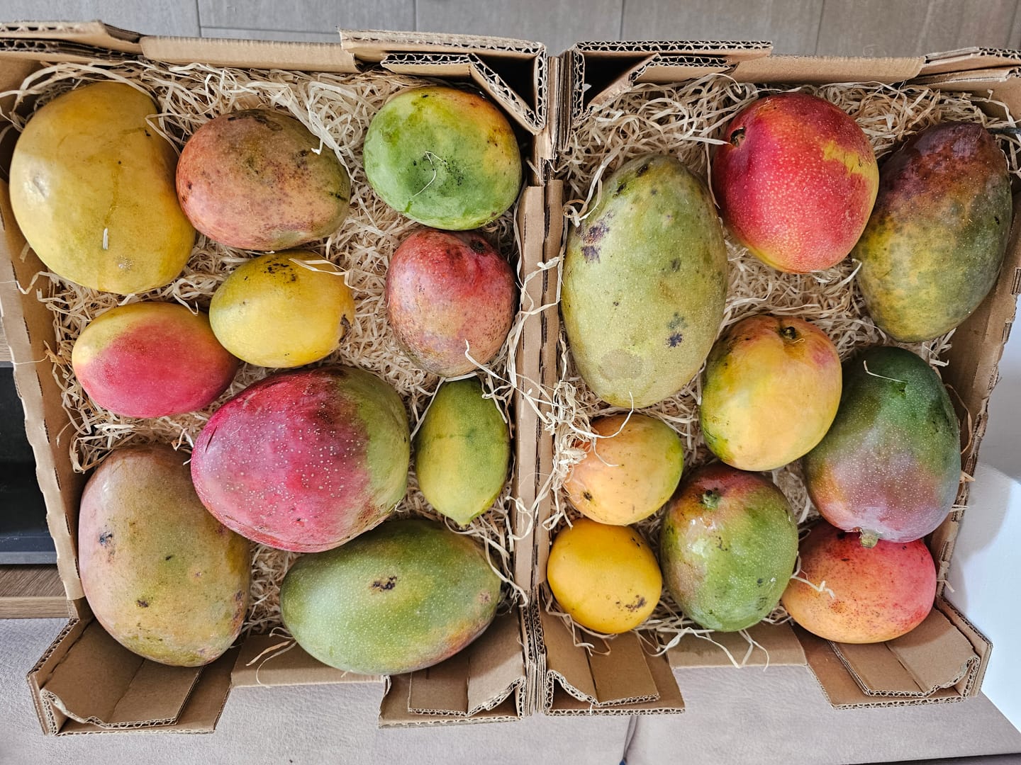 Customer photo review of Mango-Mix Bio von Julian 4kg Aktionspreis %