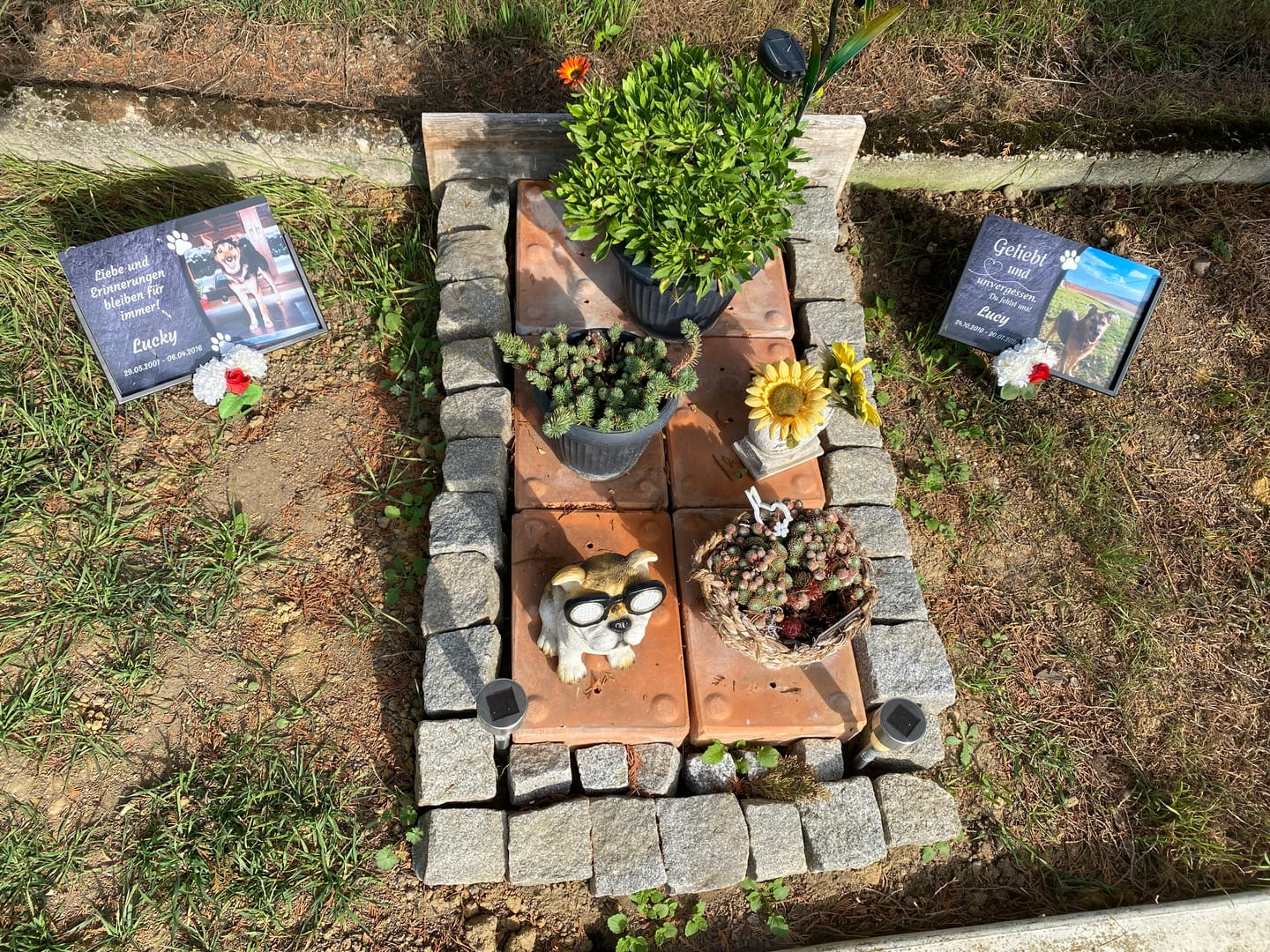Customer photo review of Hunde Gedenktafel mit Foto & Spruch (UV- & Wetterfest)