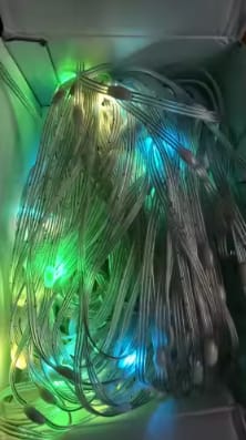 Customer photo review of Smart Christmas Lights