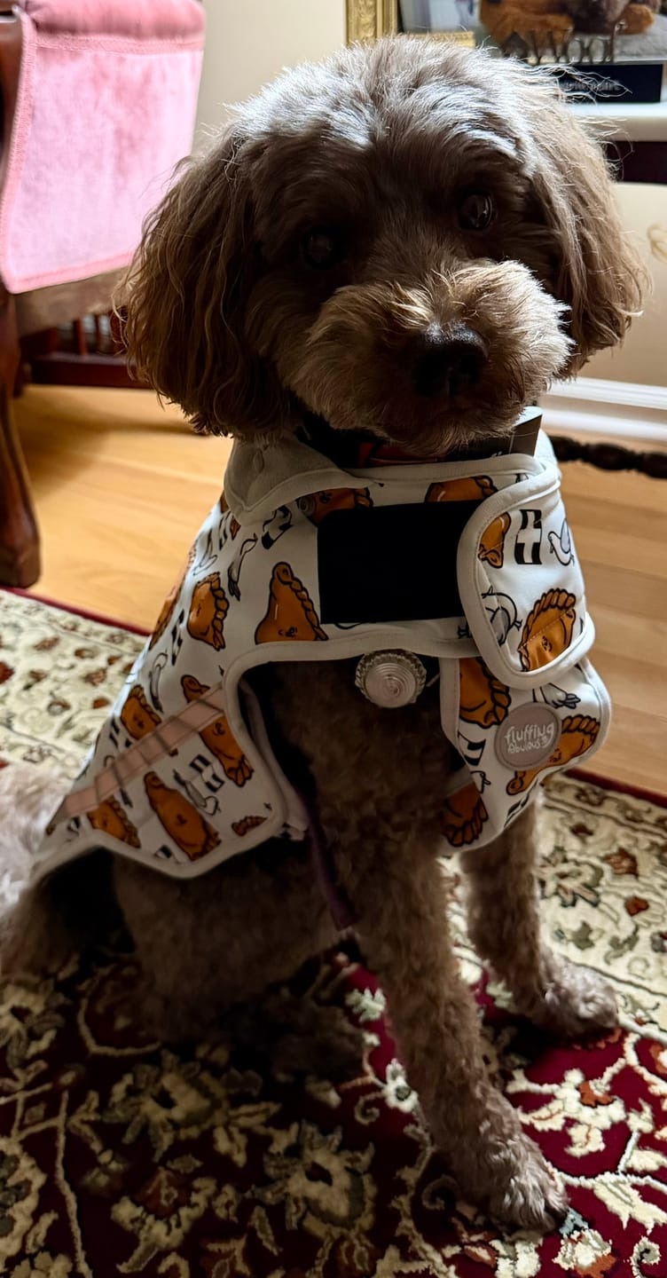 Customer photo review of Rain Jacket - Oggy Oggy Doggy