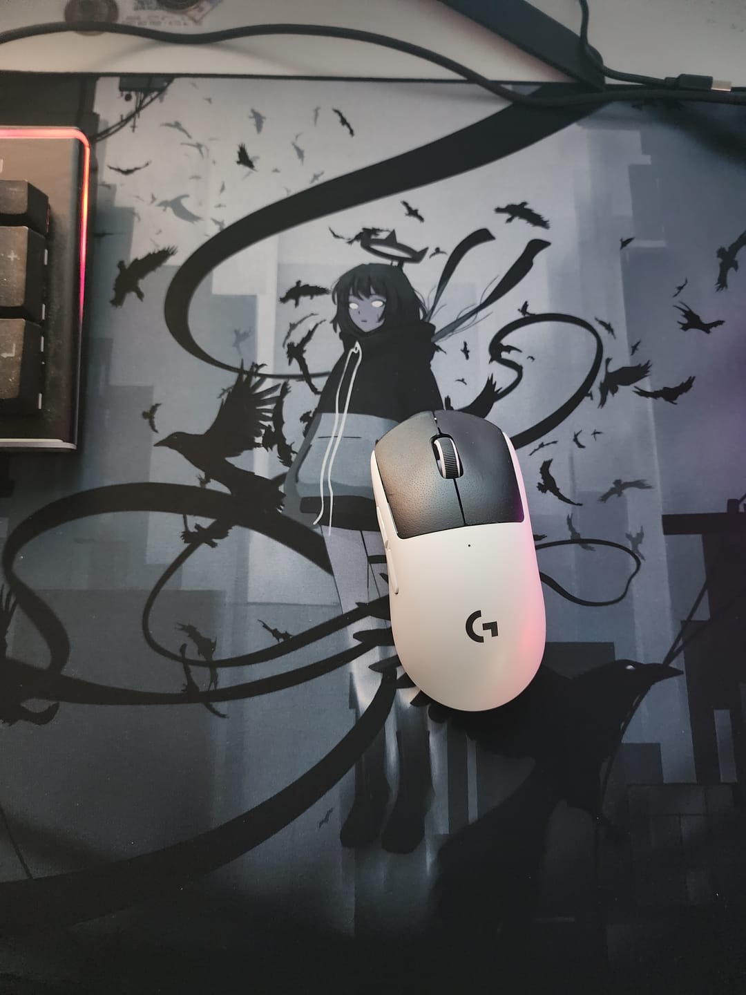Customer photo review of Wraith Ace Series [Ravenfall] Limited Edition Poron Mousepad