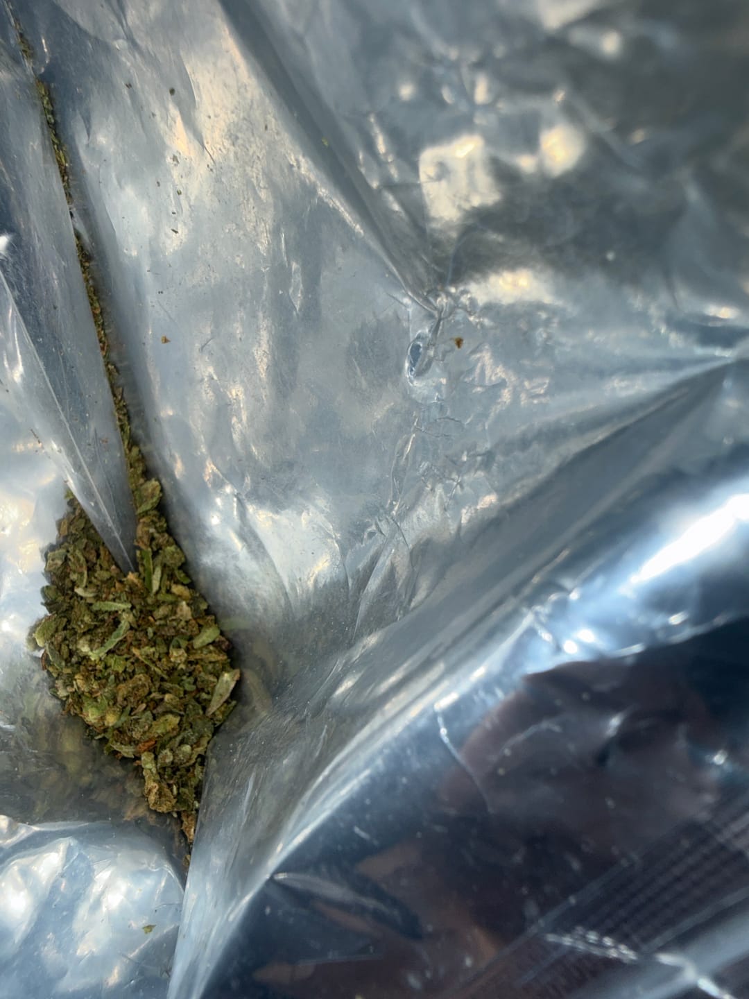 Customer photo review of THCA Queen