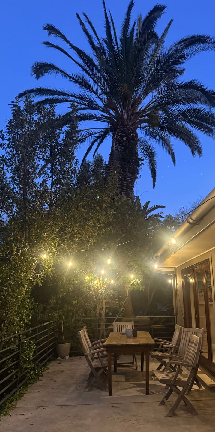 Customer photo review of Plug-In Festoon Bulb String Lights