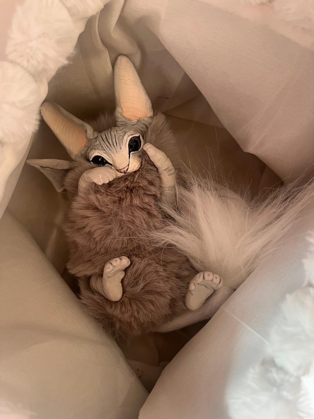 Customer photo review of Baby batcat– Grey