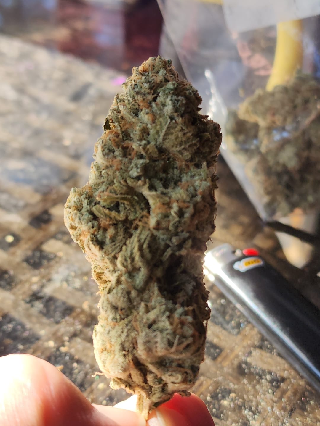 Customer photo review of Lucky Sevens Exotic THCA (7g)