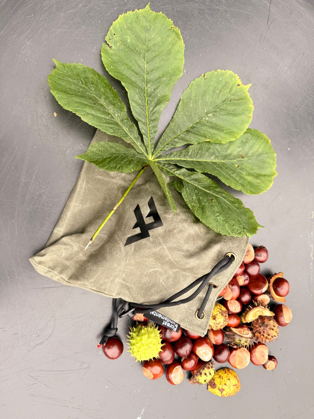 Customer photo review of Artisan Forager Pouch™ | Folding Belt Pouch