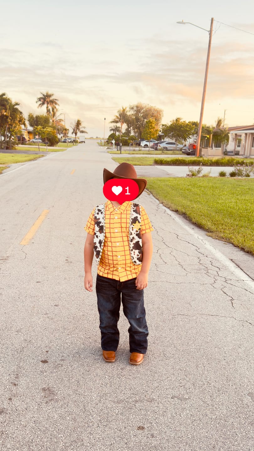 Customer photo review of Friend in me Shirt with attached Vest