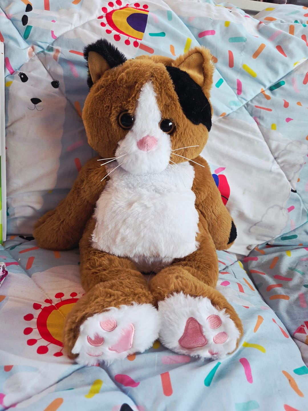 Customer photo review of Verzwaringsknuffel Kat 2,2 kg