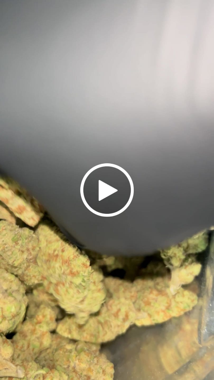 Customer video review of Blewtooth THCA Flower