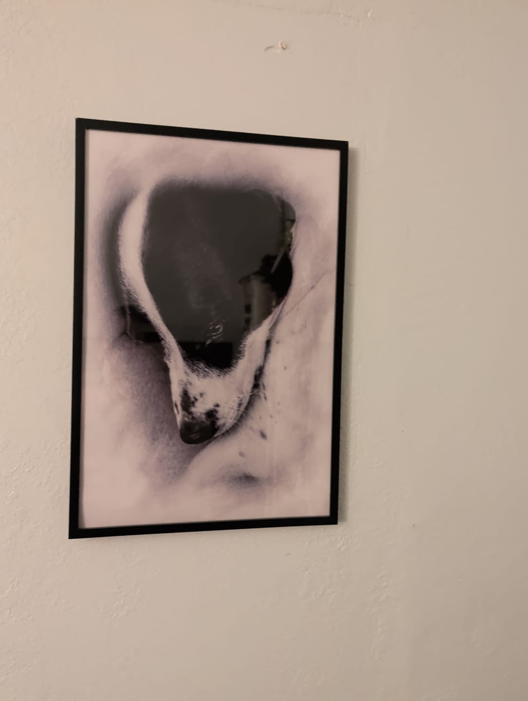 Customer photo review of Charcoal - Personalized Poster
