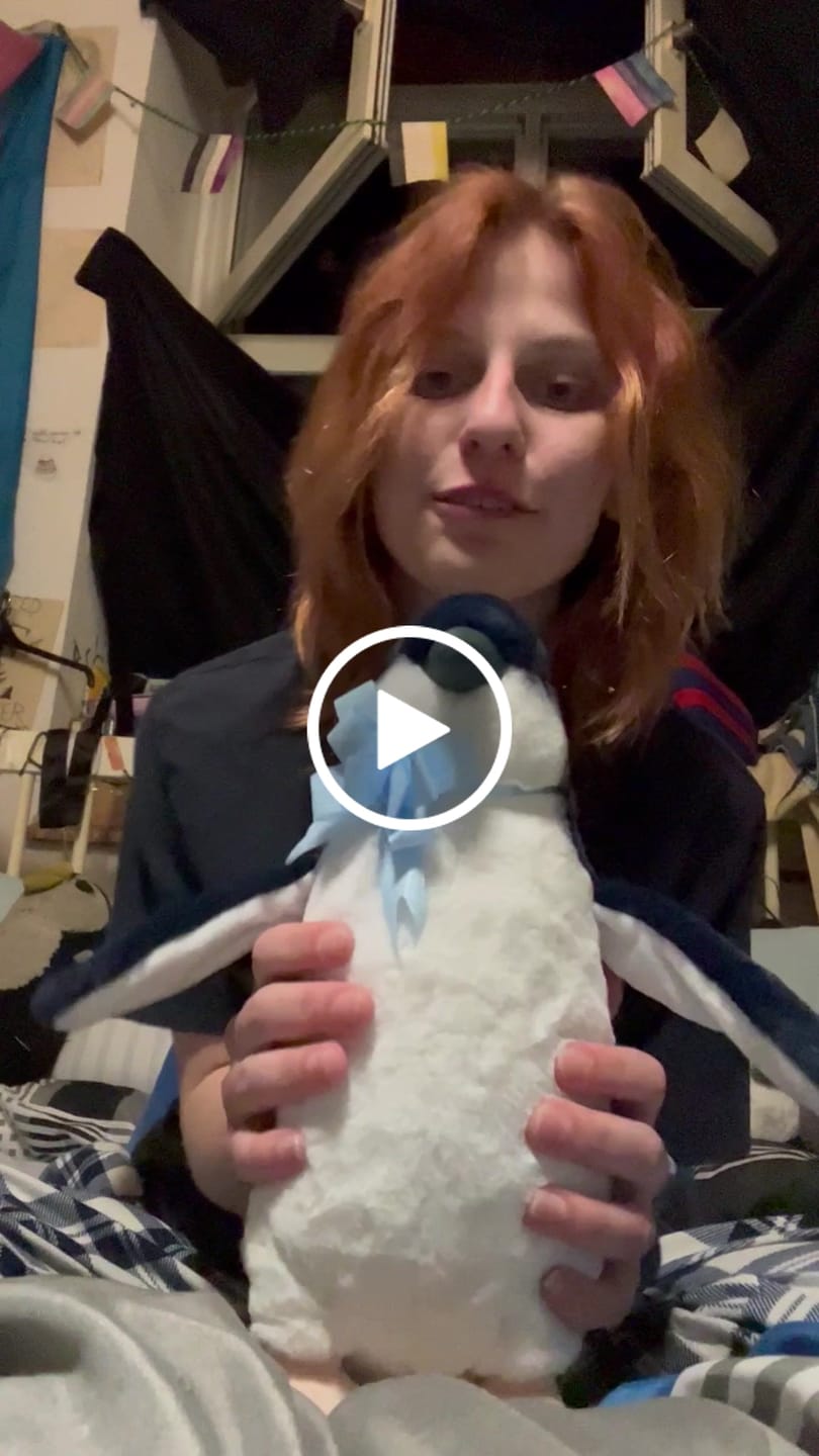 Customer video review of Little Blue (Fairy) Penguin Plush Toy - Realistic, Soft, and Adorable Stuffed Animal for Nature Lovers
