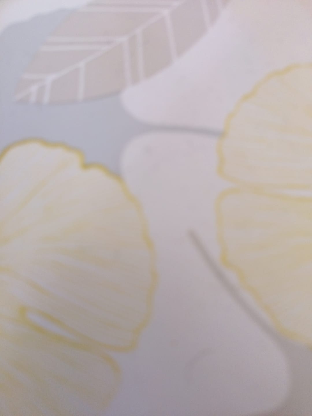 Customer photo review of Culotte Menstruelle Léa