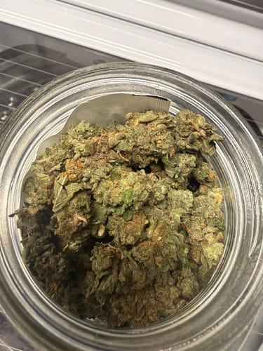 Customer's Durban Sandwich Bundle flower buds displayed in a clear glass jar, top-down view.
