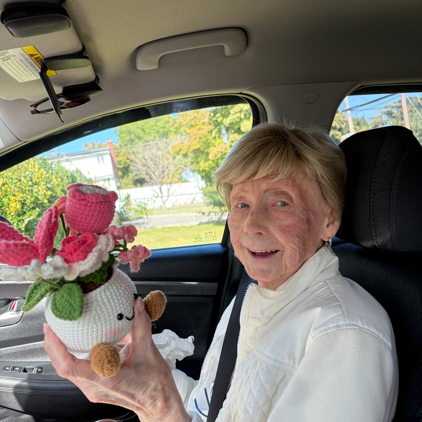 Customer photo review of Handmade Crochet Plant Pot Collection – Cute Flower, Mushroom & Strawberry Amigurumi Desk Decor