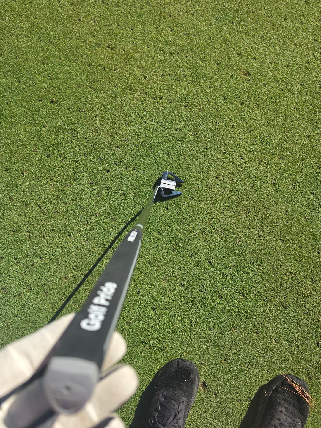 Customer photo review of Exotics Wingman 804 Putter