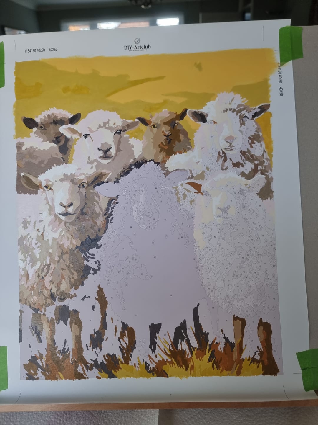 Customer photo review of Black Sheep | Paint by Number