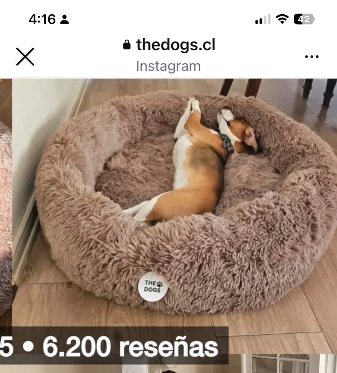 Customer photo review of Cama Anti-Estrés THE DOGS — Menos ansiedad, más descanso