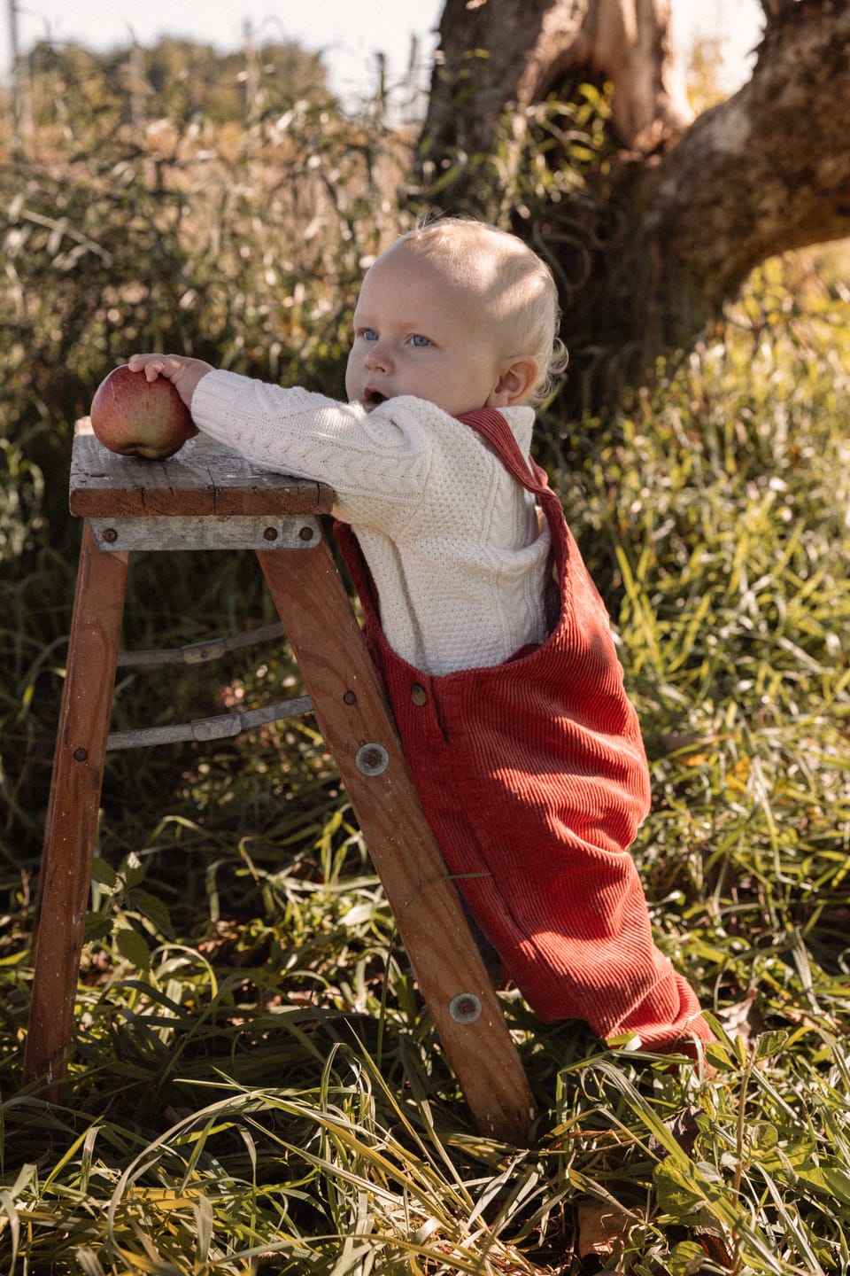 Customer photo review of Harvest Film Preset Collection