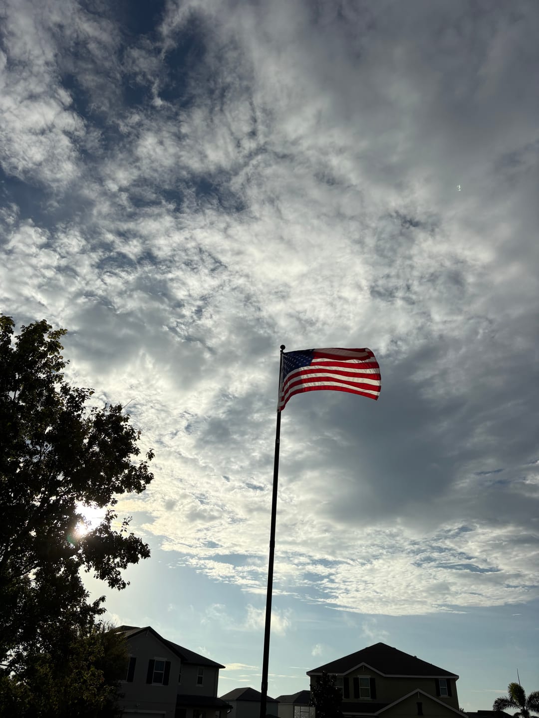 Customer photo review of 3' x 5' American Flag