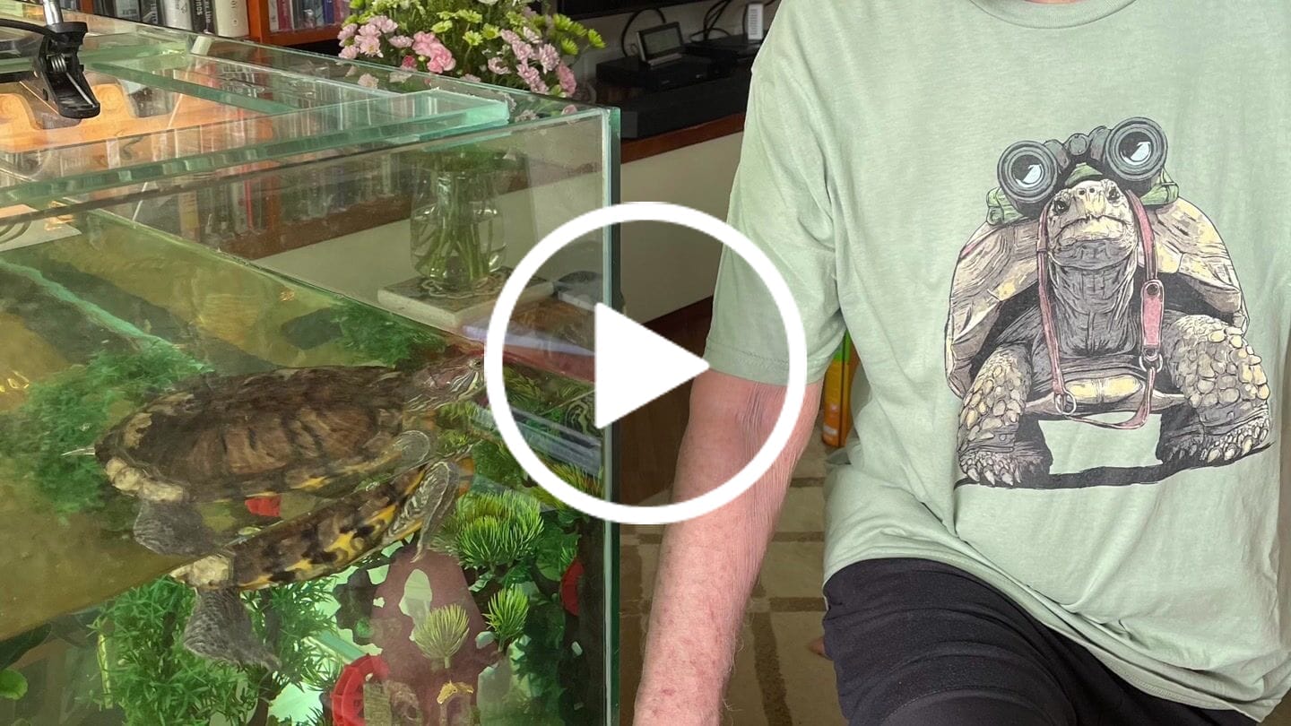Customer video review of Tortoise Bird Watcher T-Shirt