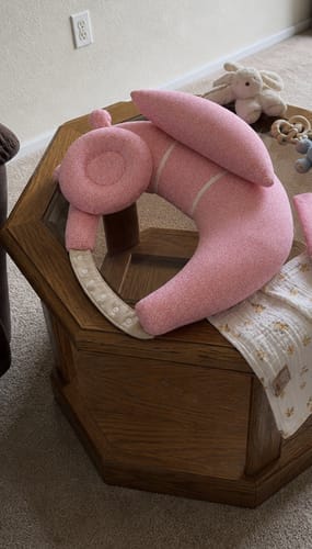 Customer photo review of NESTORA™ Nursing Support Pillow