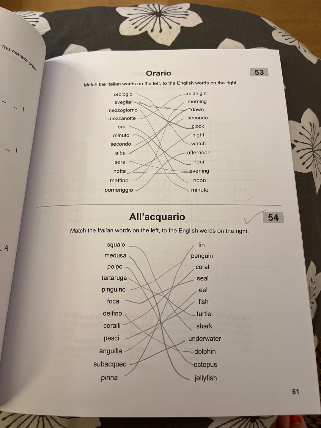 Customer photo review of Vol. 1 - Travel to Italy - Learn Italian with Puzzles