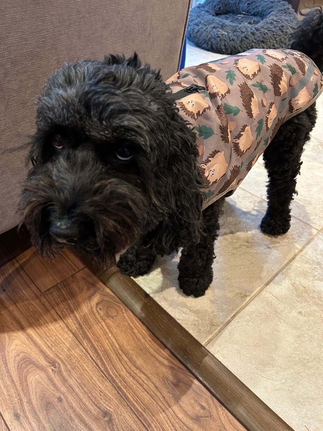 Customer photo review of Rain Jacket - In A Prickle