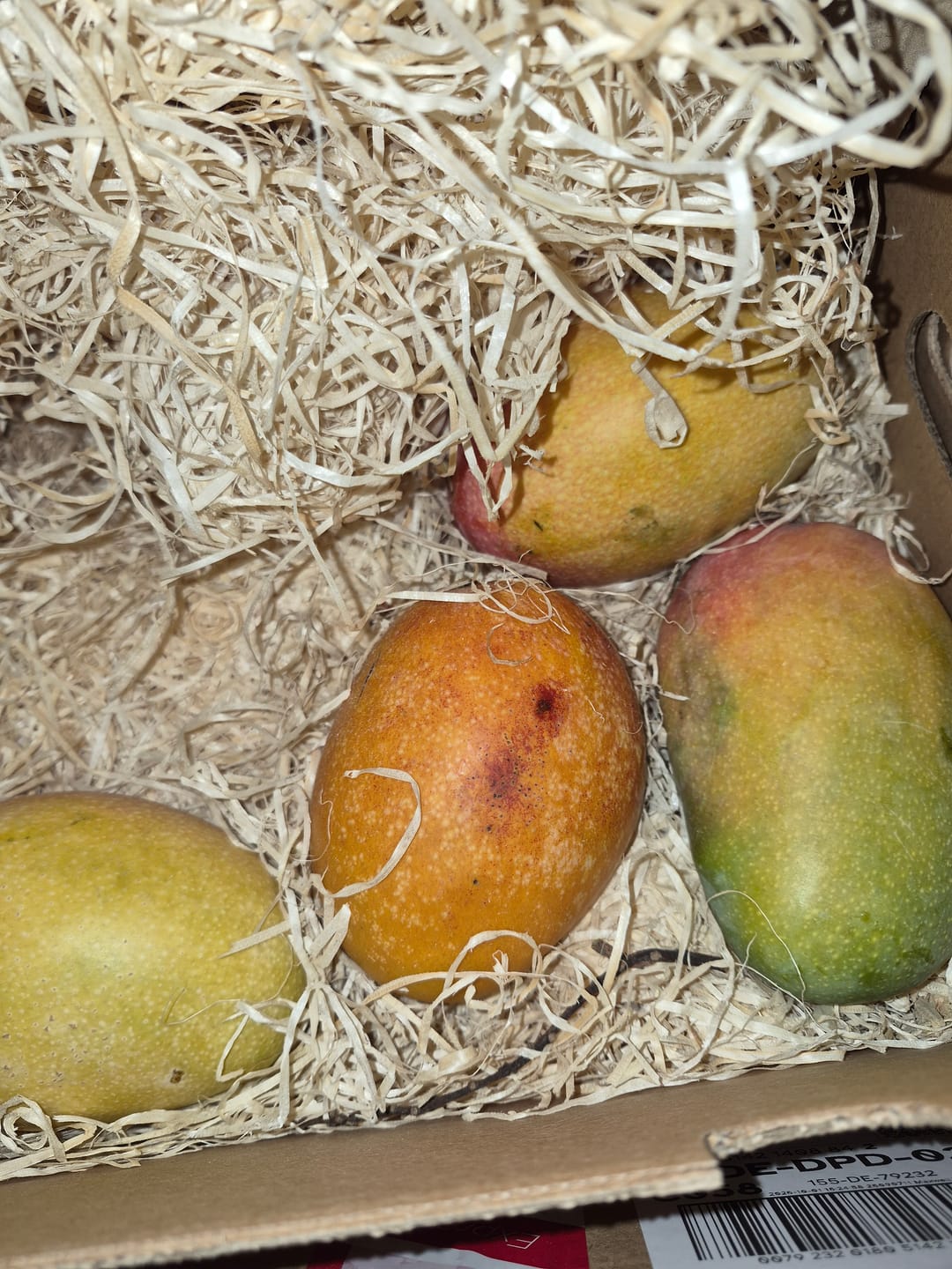 Customer photo review of Mango-Mix Bio von Julian 4kg Aktionspreis %