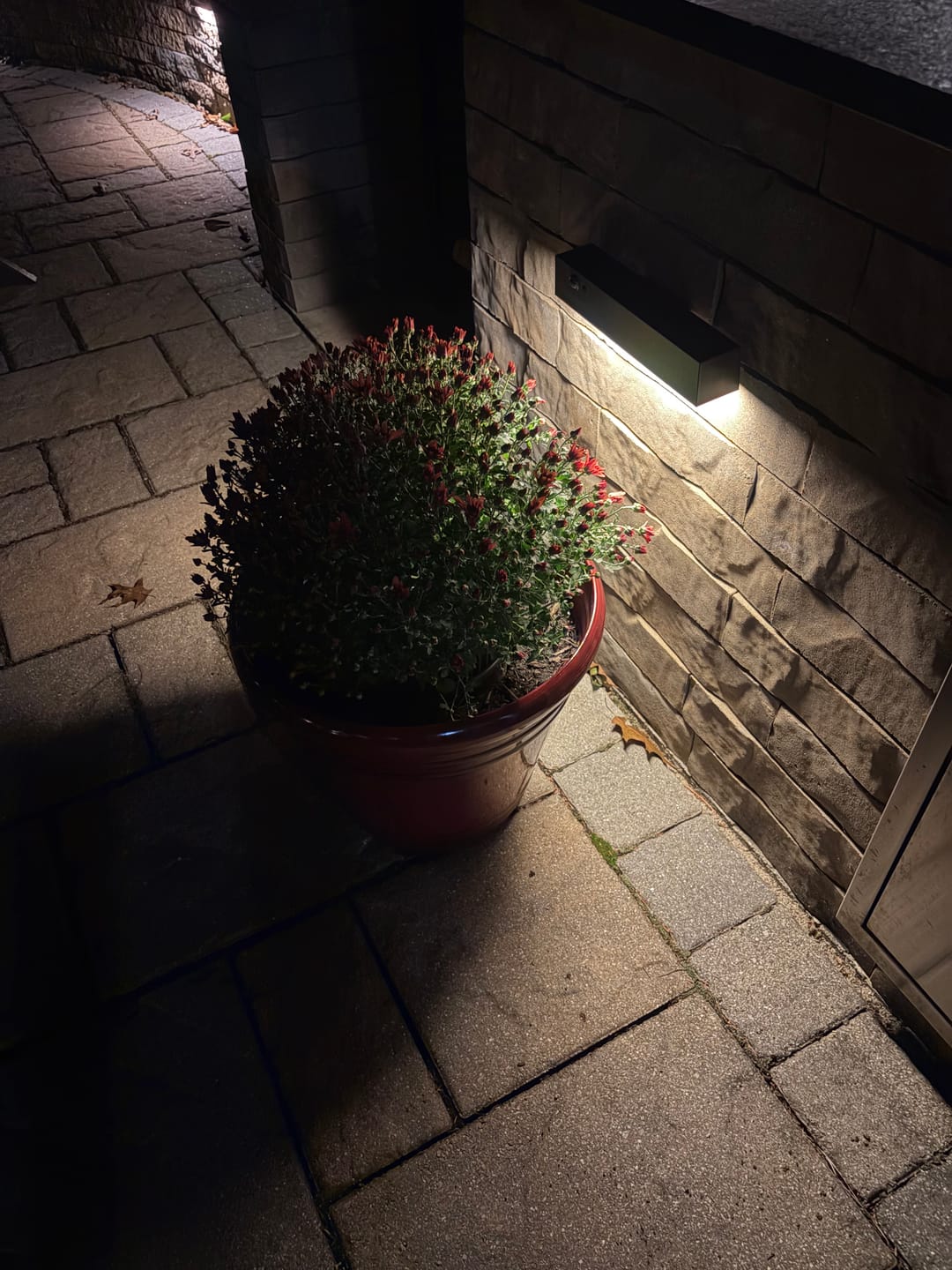 Customer photo review of Solar Wall Light with Motion Sensor