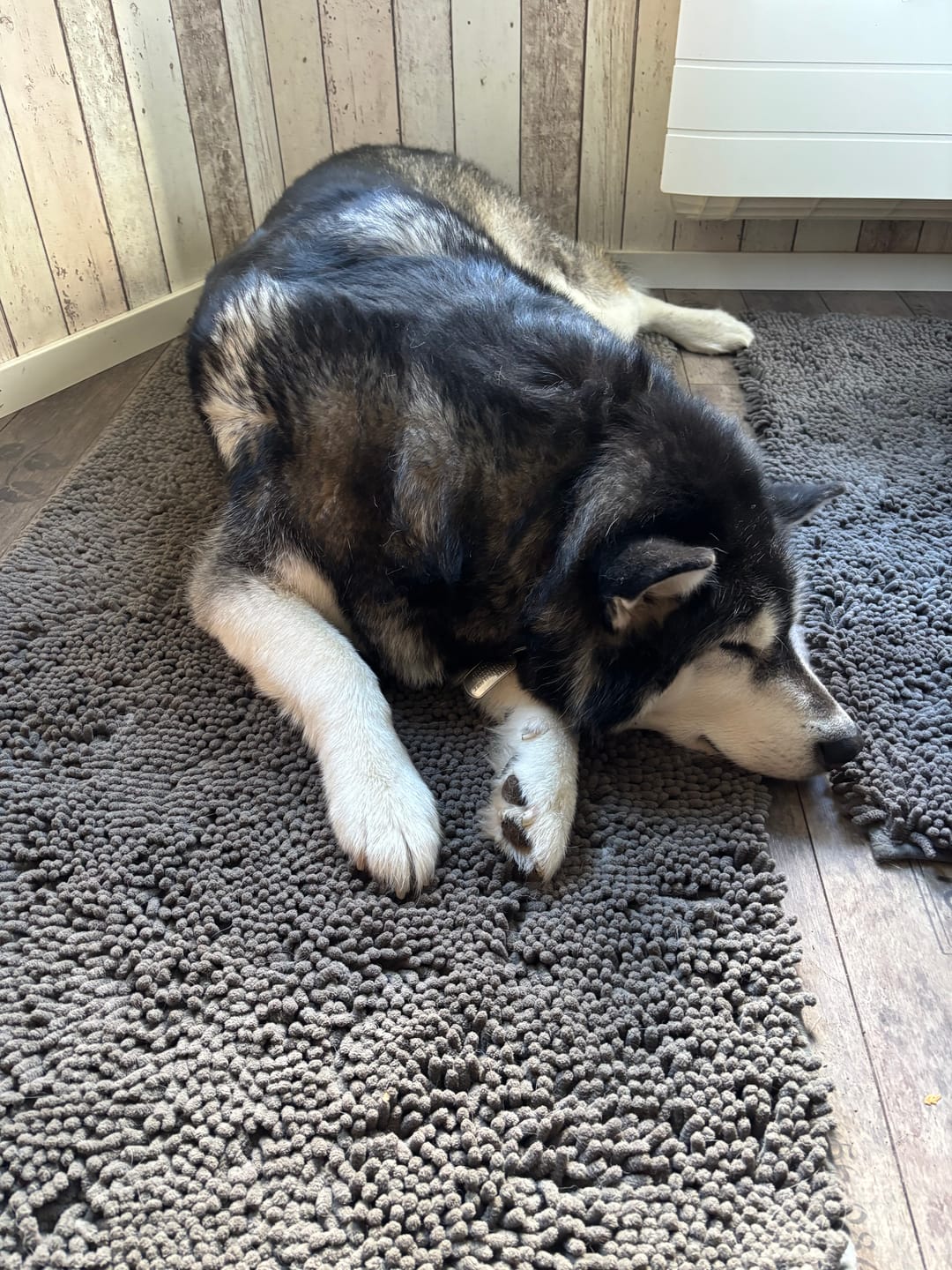 Customer photo review of Tassify – Mattan som håller ditt hem rent