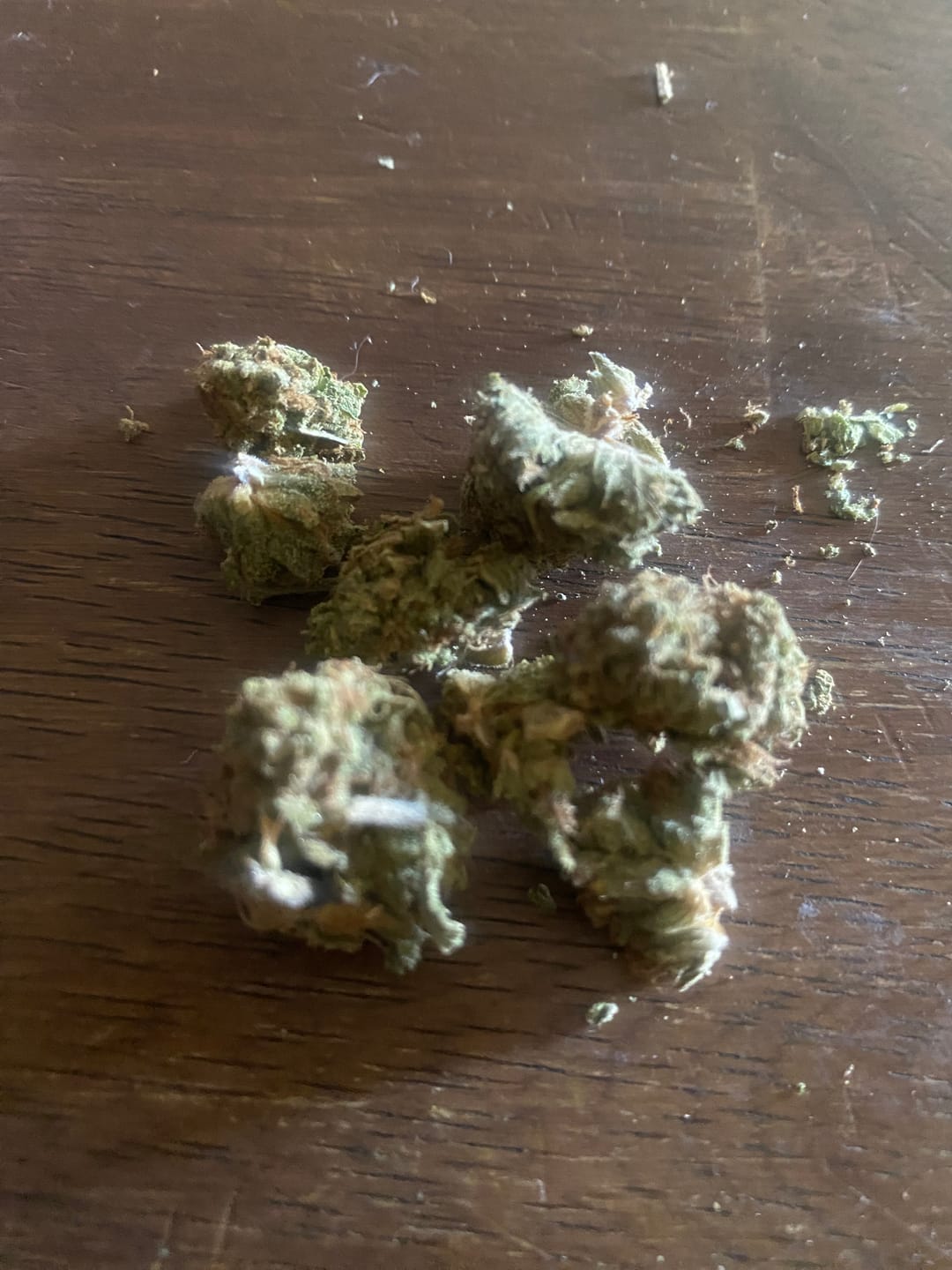 Customer photo review of Glue Train Light Dep Quarter Pound (1/4 LB)