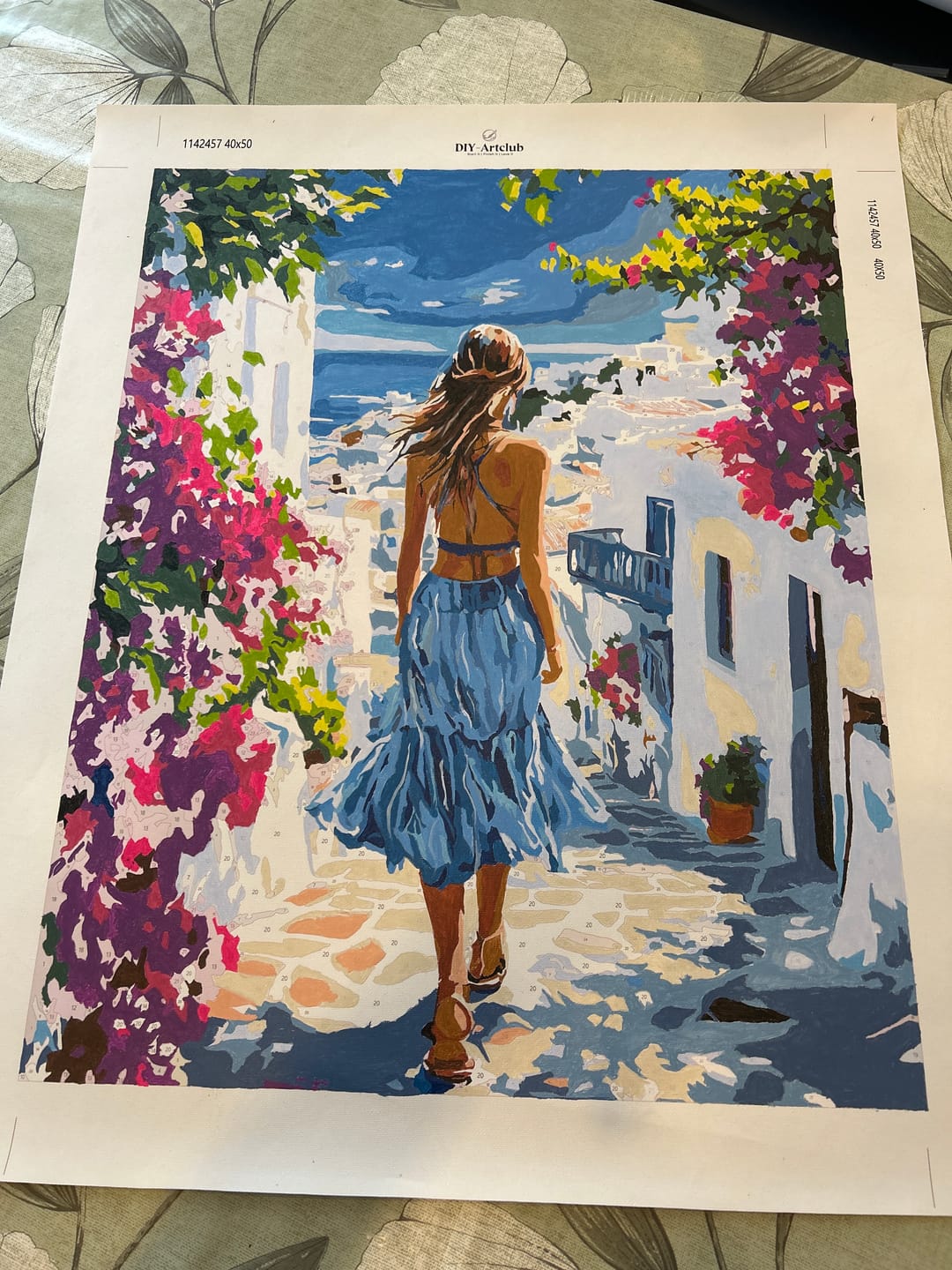 Customer photo review of A Walk in Santorini | Paint by Number