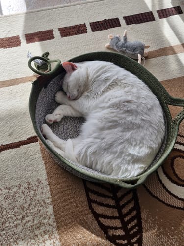 Customer's Fellnest Katzenkorb mit weißer Katze schlafend im runden Körbchen auf gemustertem Teppich.