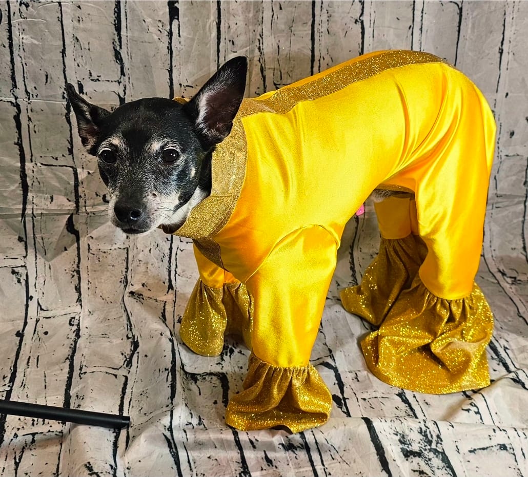 Customer photo review of Shiny Nylon Spandex