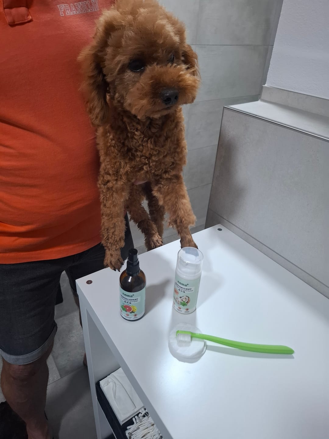 Customer photo review of Dentalspray für Hunde & Katzen