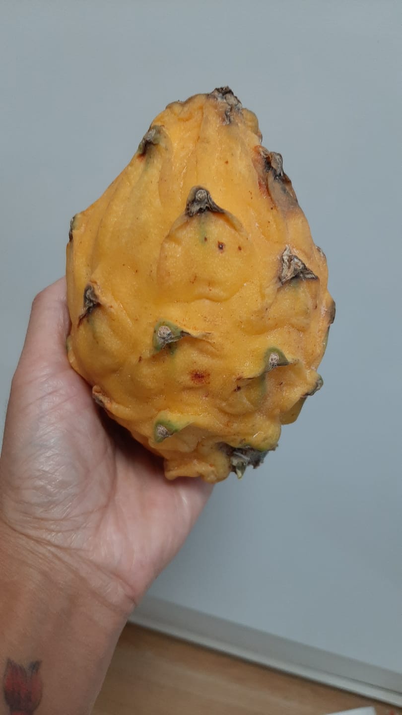 Customer photo review of Goldene Drachenfrucht (Pitaya) Sonderaktion %