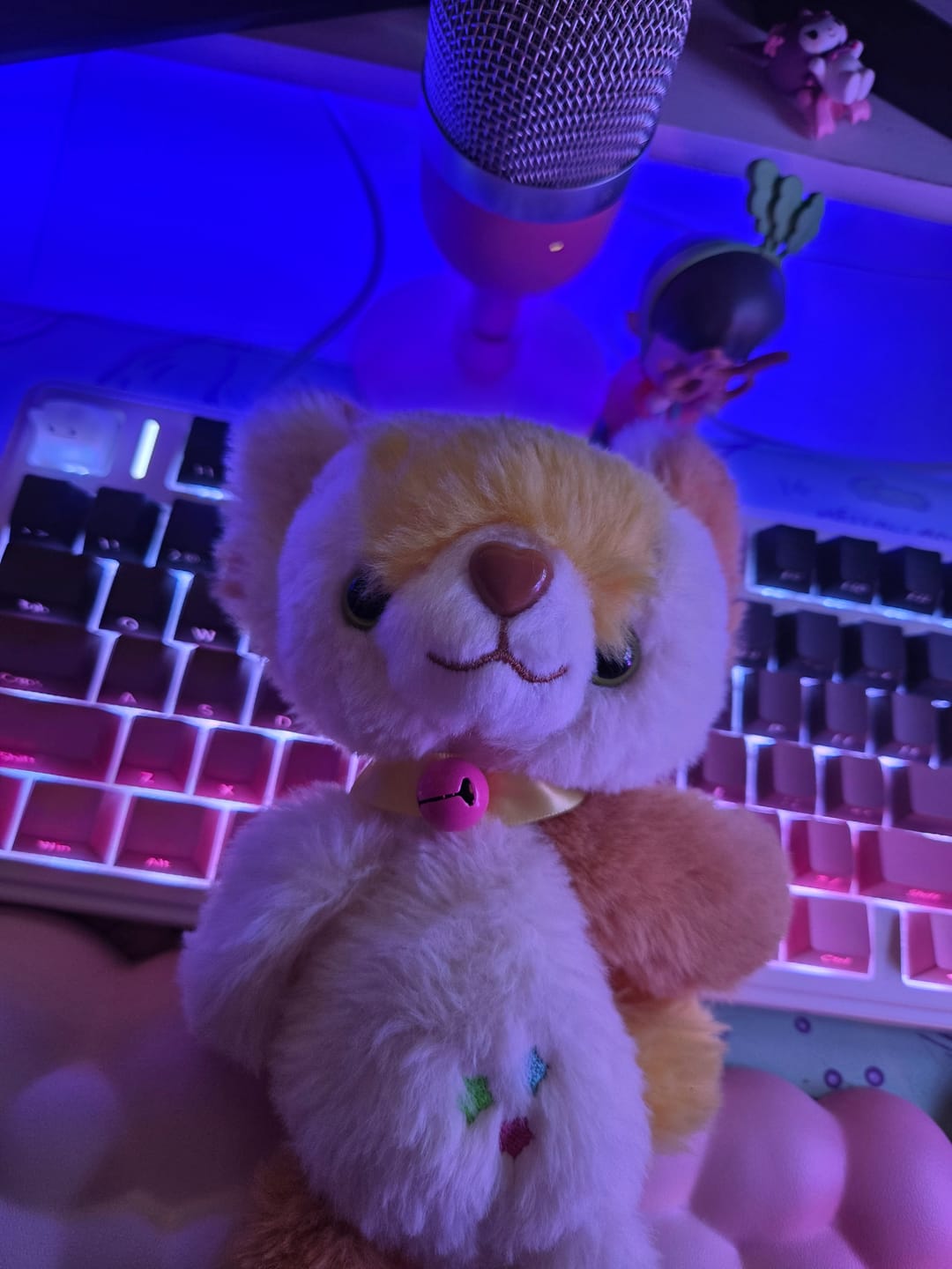 Customer photo review of IMPERFECT NOOPS! Adopt A Noop!
