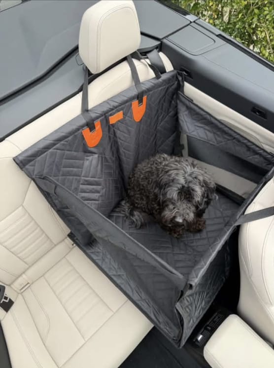 Customer photo review of Marlo&Co™ Single Travel Seat
