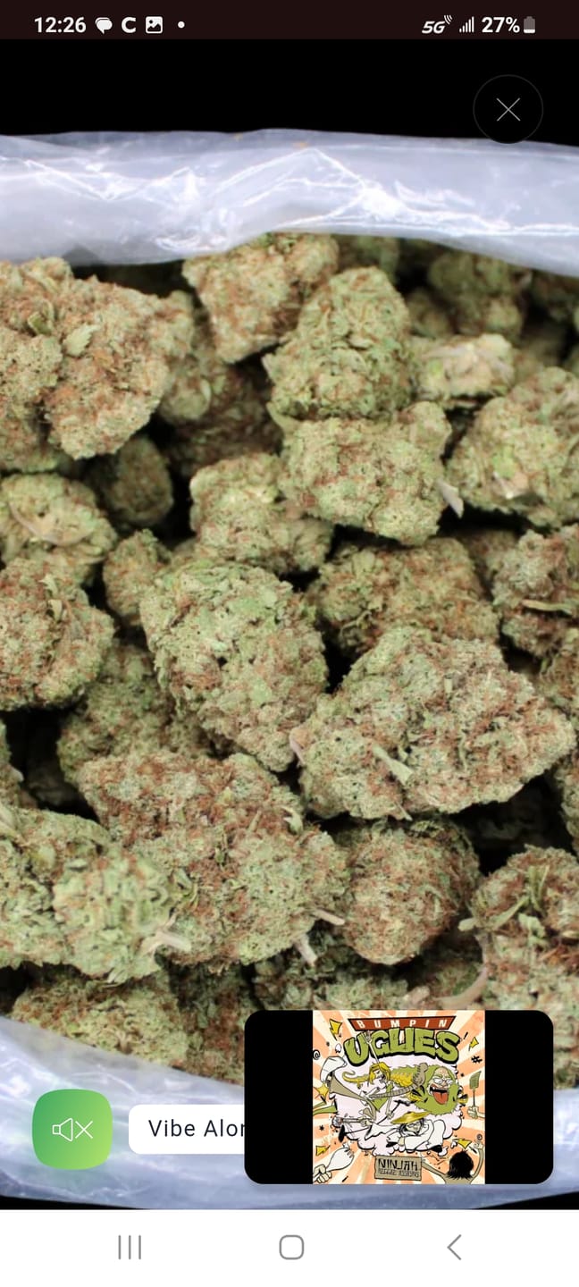 Customer photo review of Gorilla Glue THCA Flower